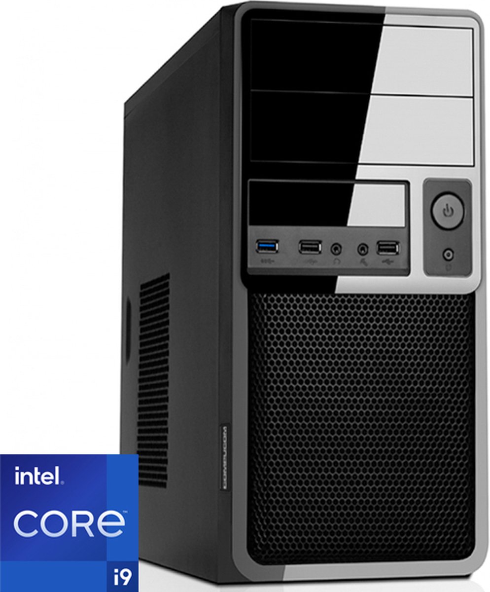 Intel Desktop PC met Core i9 12900 - 32GB RAM - 2000GB NVMe M.2 SSD - WiFi - Bluetooth - Windows 11 Pro (DT-375118) (8719925375118)
